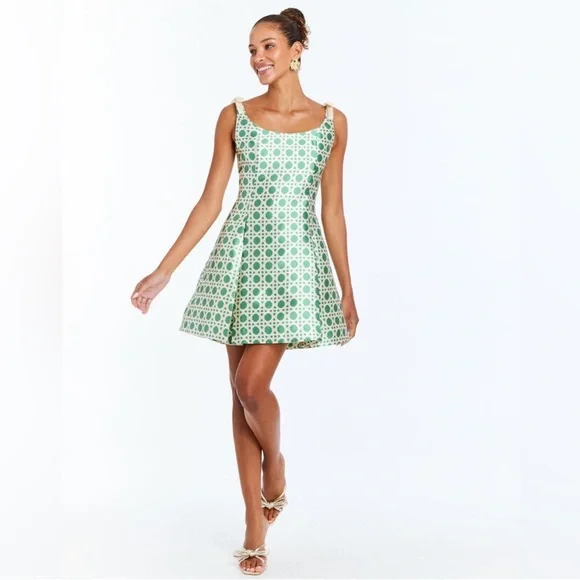 NWT Mestiza Sleeveless Green Patterned Mini Dress - Picture 3 of 12